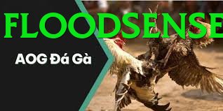 Đá Gà Trực Tiếp - lu88